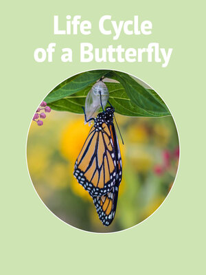 cover image of Life Cycle of a Butterfly